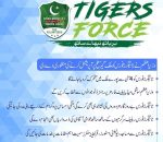 tigers force